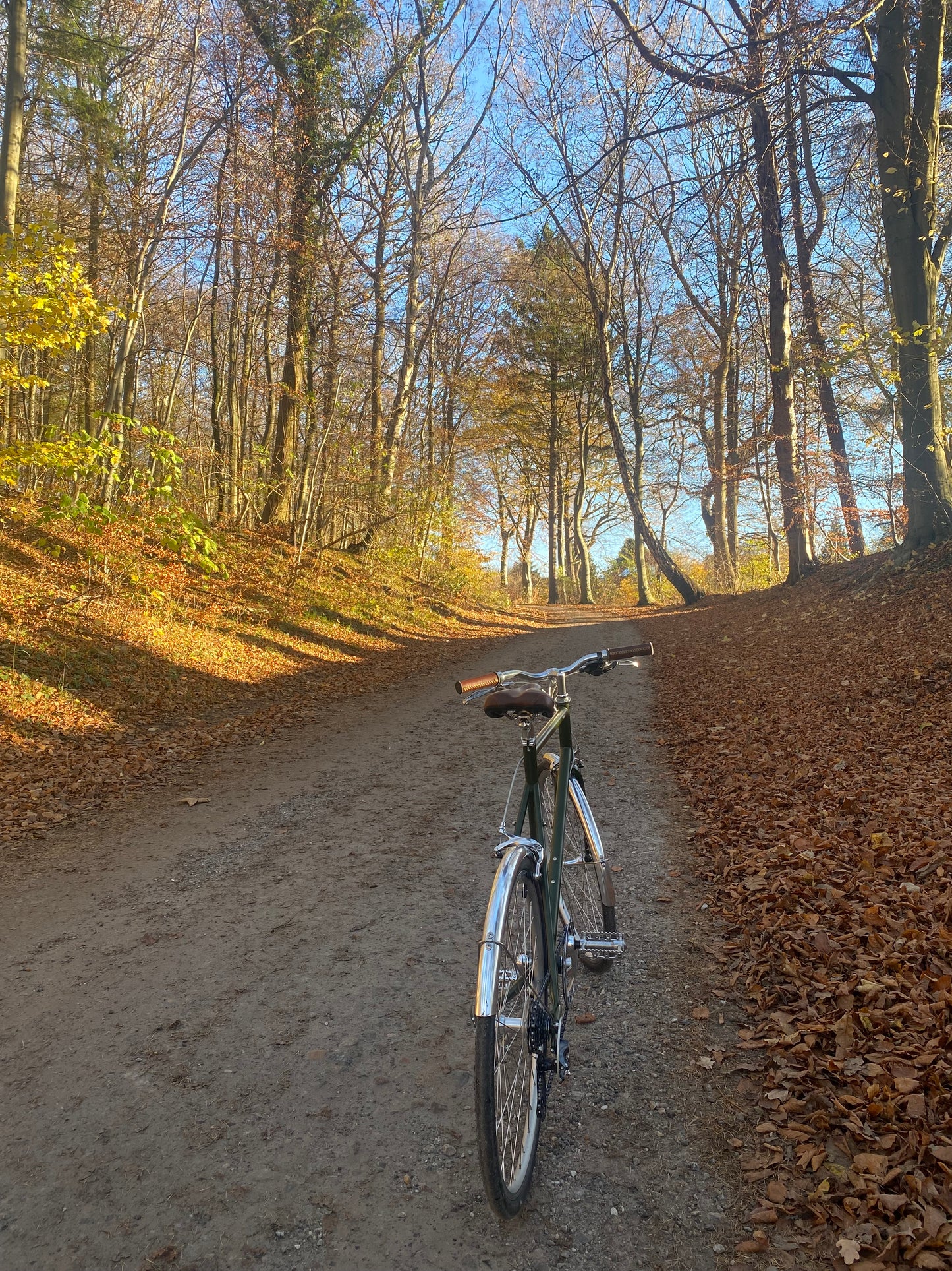 tokyobike CS26 Moss Green 57 cm (M) DEMO