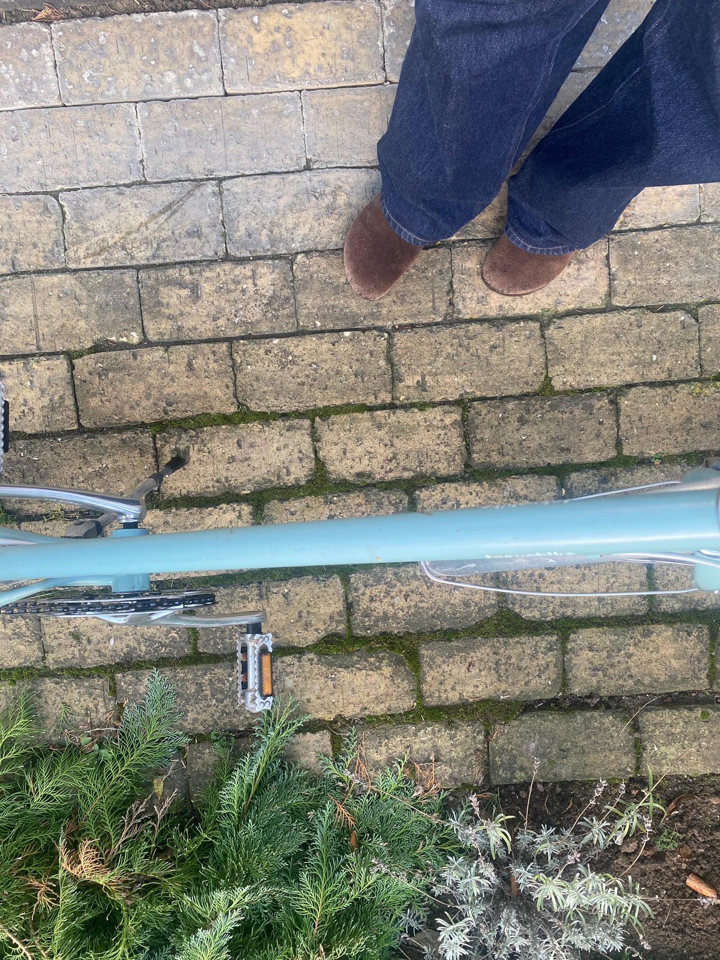 Bisou Blue Jade 50cm (M) PRELOVED