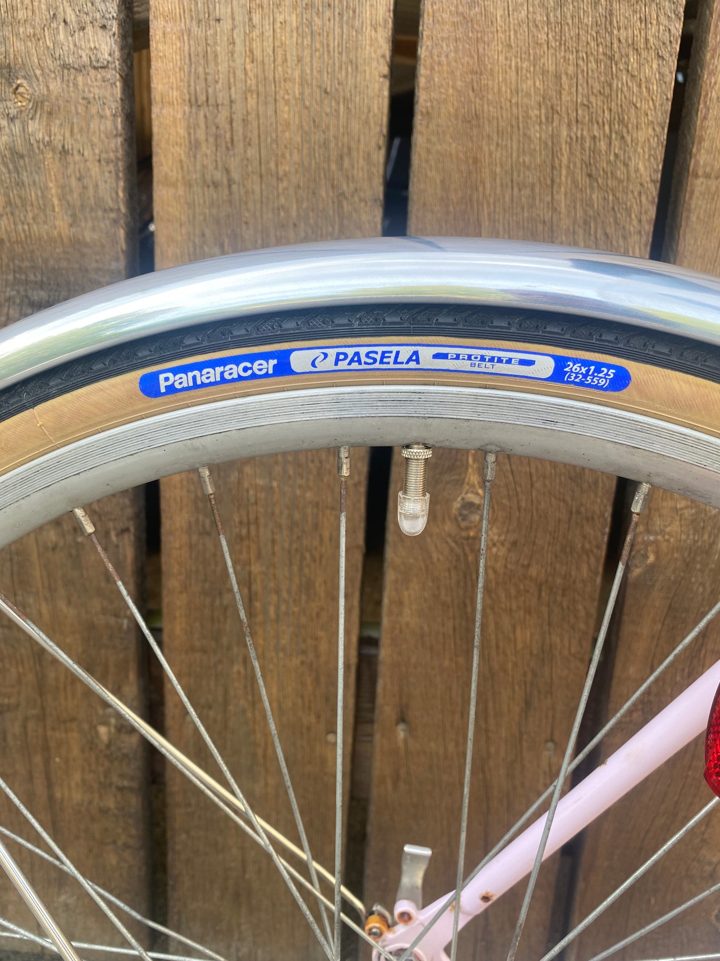 Bisou Lavender 50cm (M) SOLGT