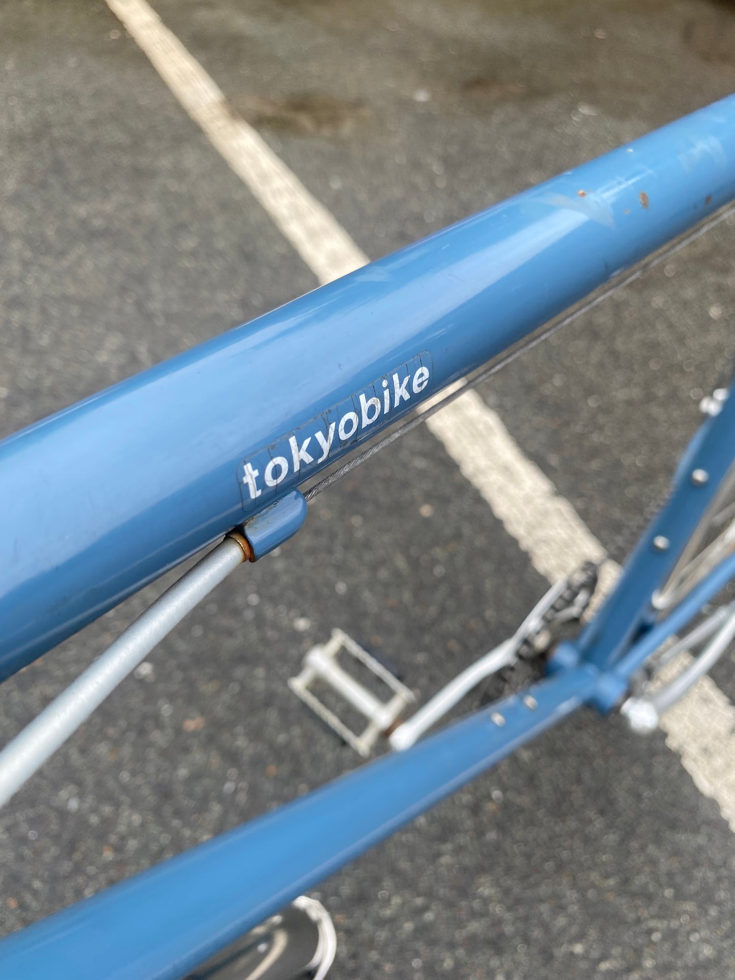 CS26 Blue Grey - 57cm (M) PRELOVED