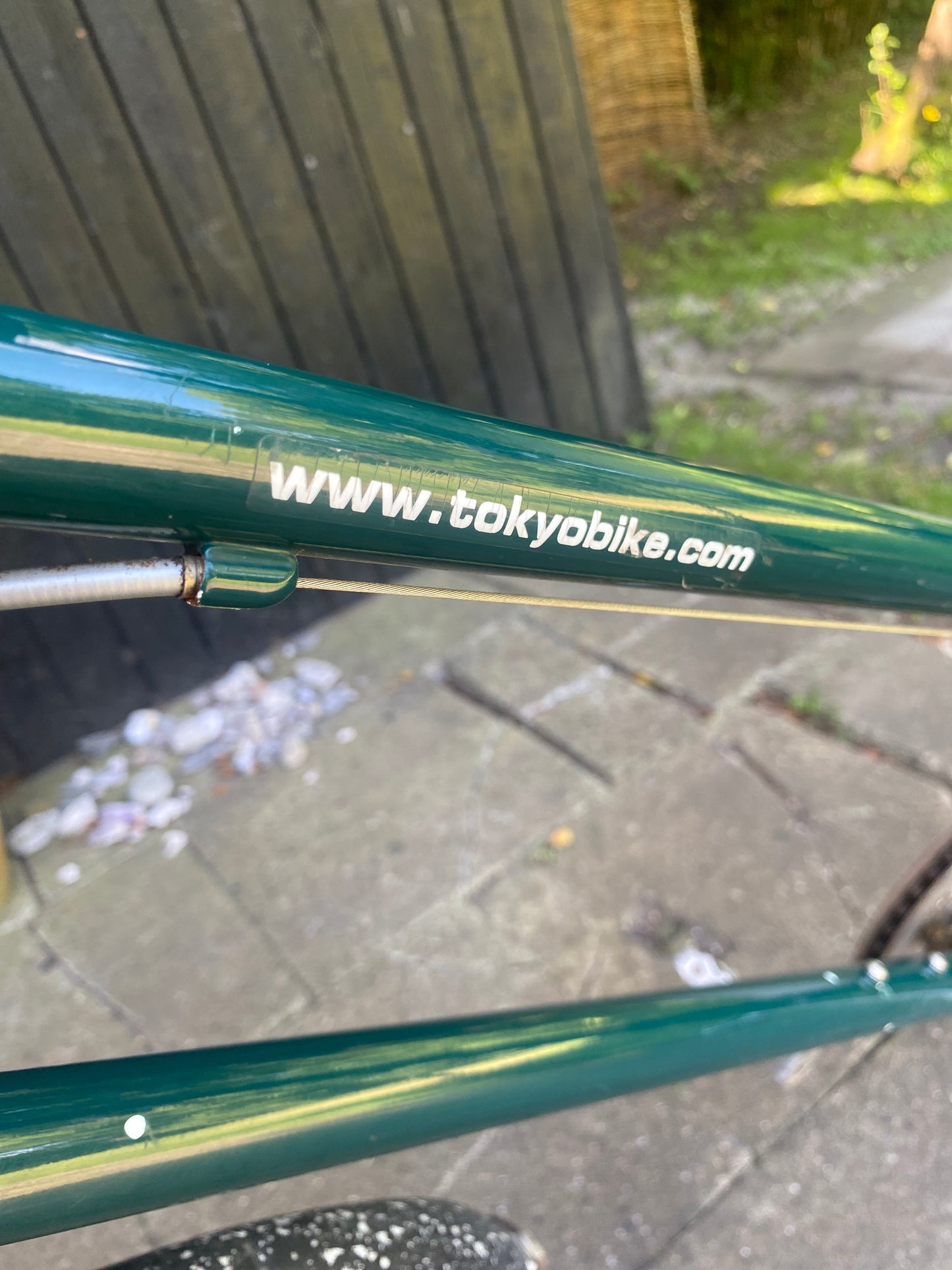 Bisou British Racing Green 50cm (M) SOLGT