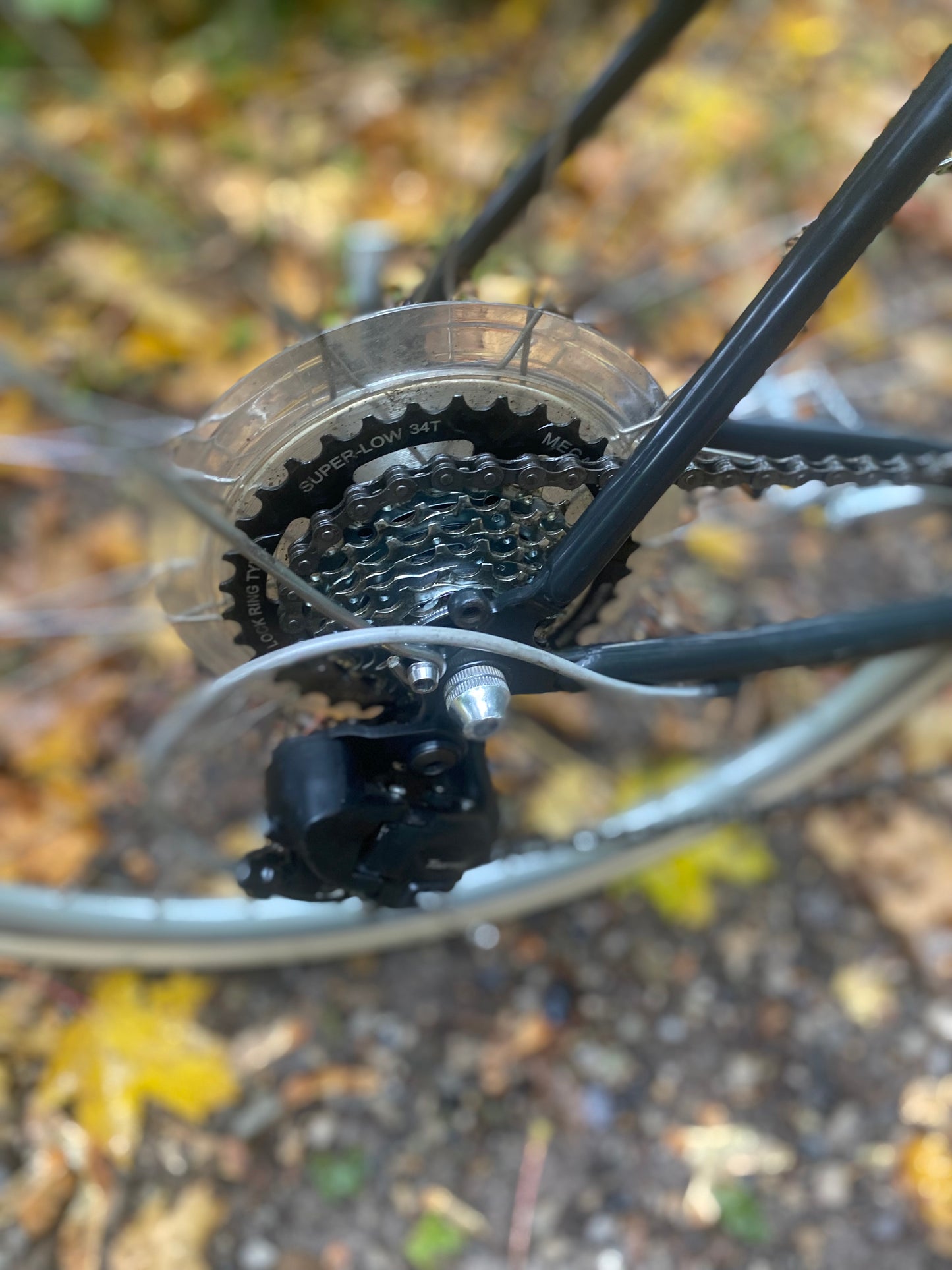 Bisou Willow 55cm (L) SOLGT