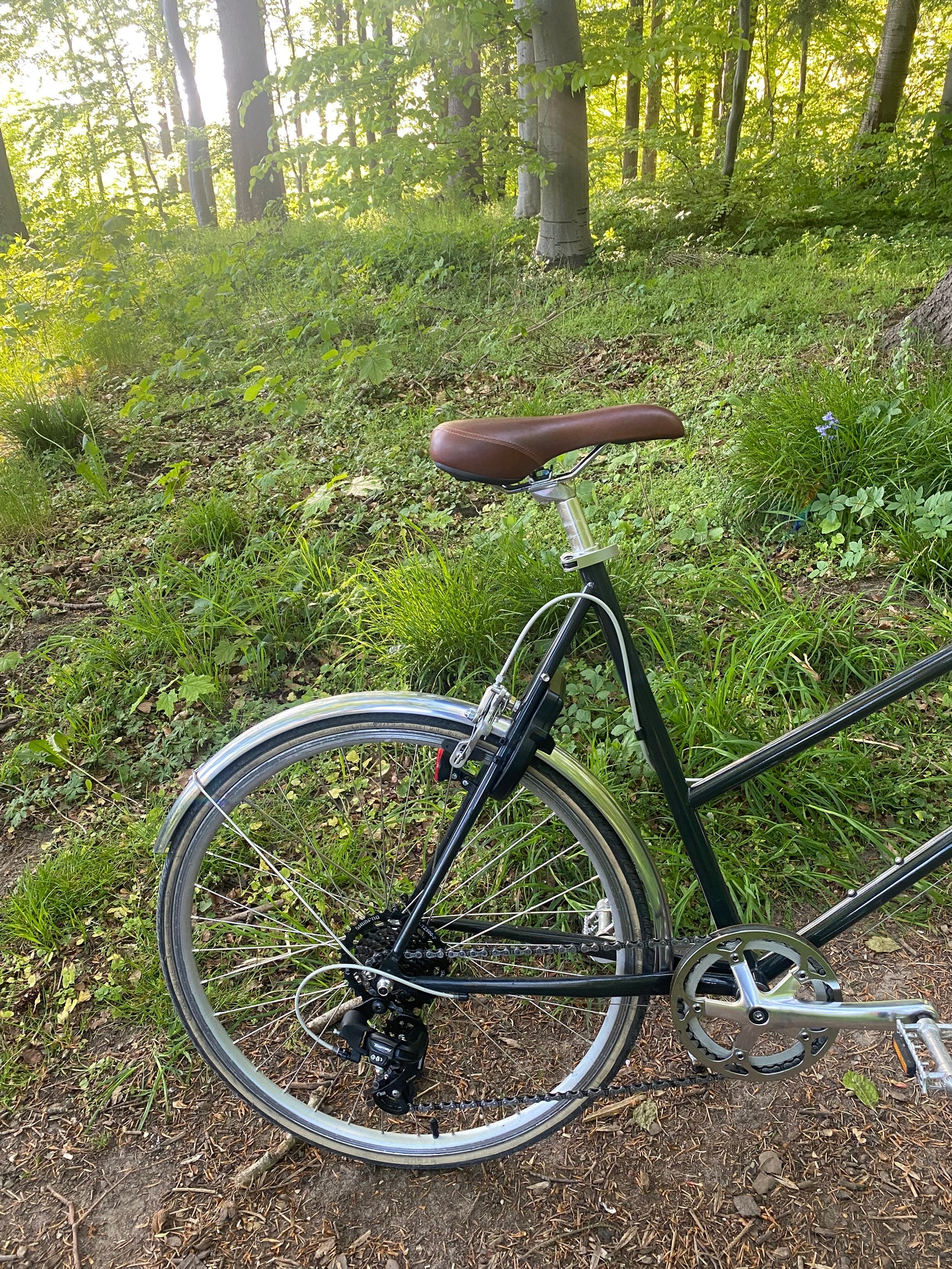 Bisou Willow 55 cm (L)
