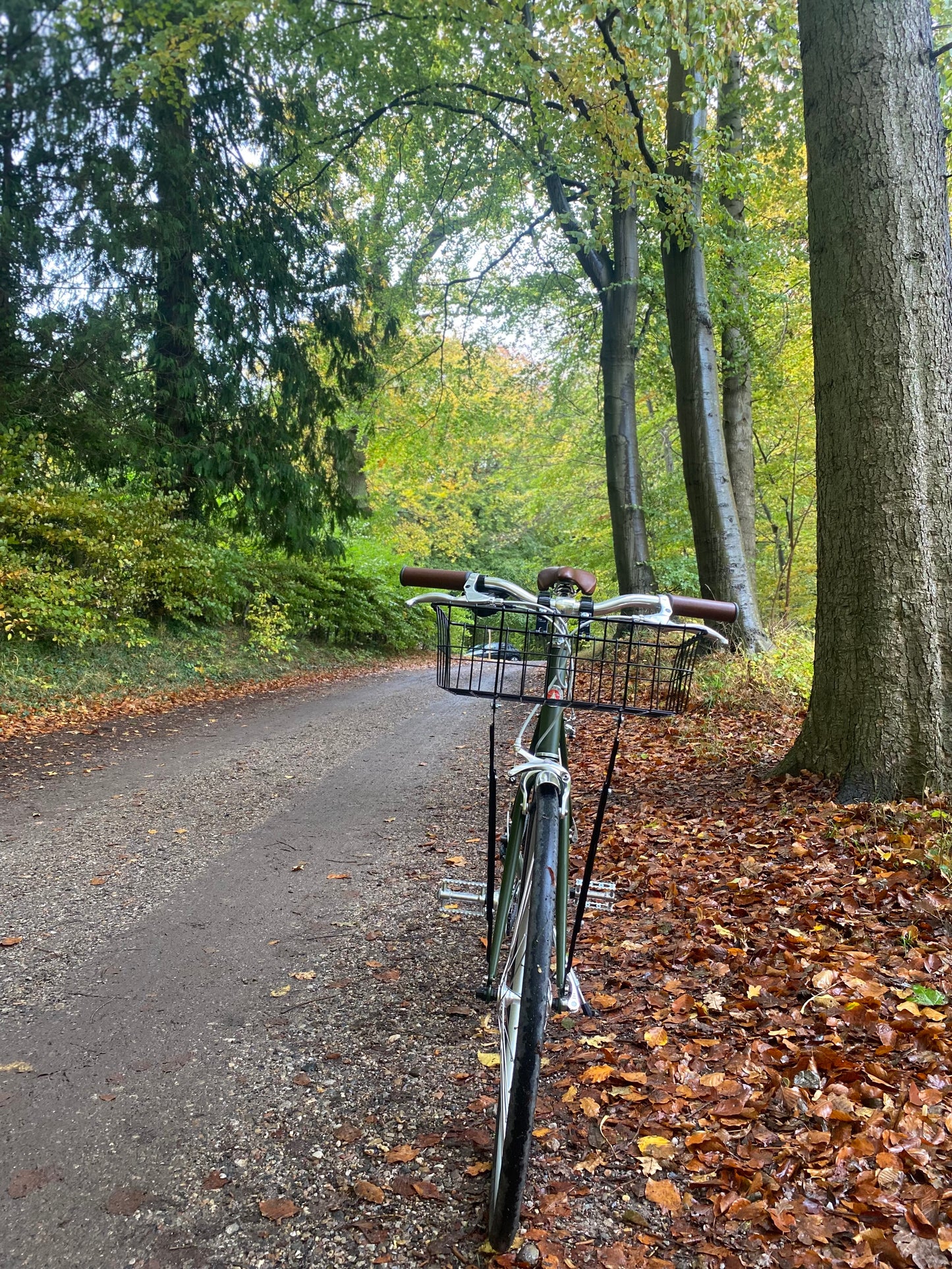 tokyobike CS26 Moss Green 57 cm (M) DEMO