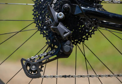 Marin Larkspur 2 - Black