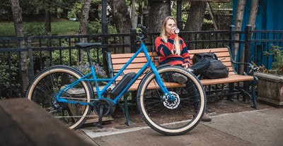 Marin Larkspur E - ebike