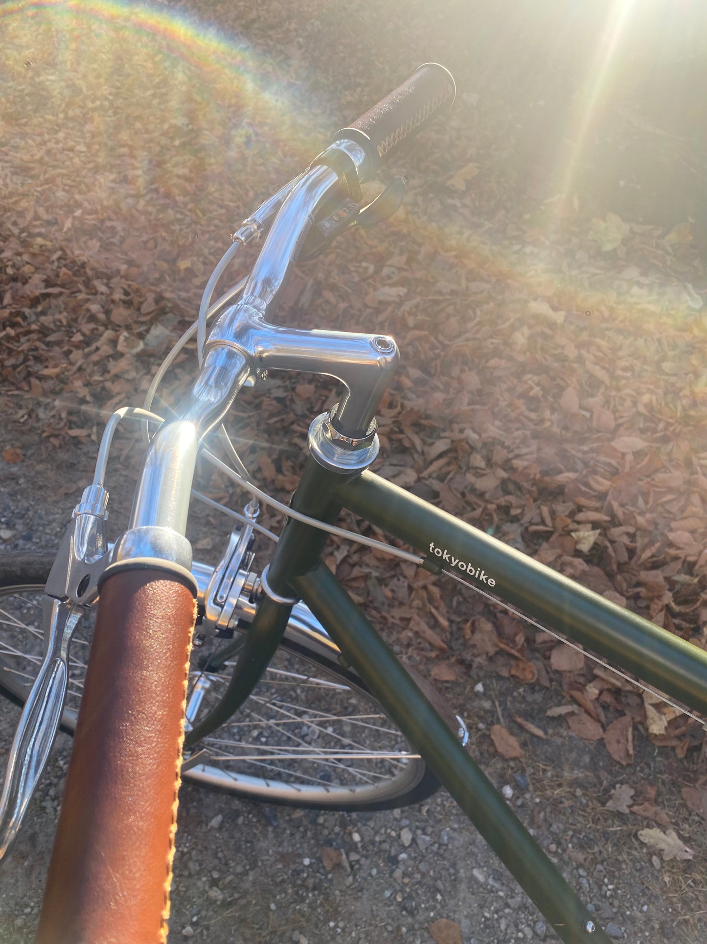 tokyobike CS26 Moss Green 57 cm (M) DEMO