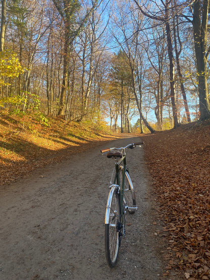 tokyobike CS26 Moss Green 57 cm (M) DEMO
