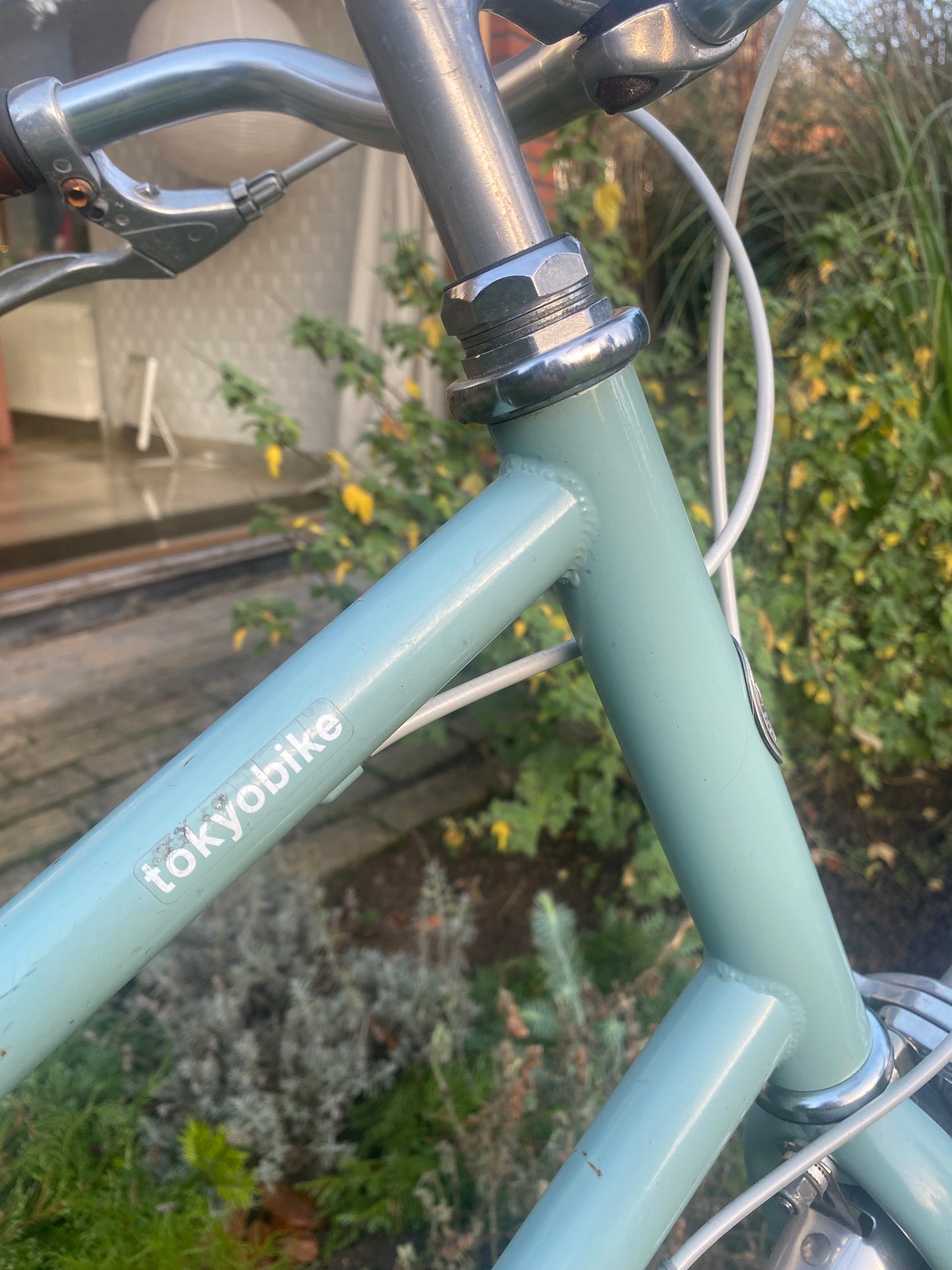 Bisou Blue Jade 50cm (M) PRELOVED