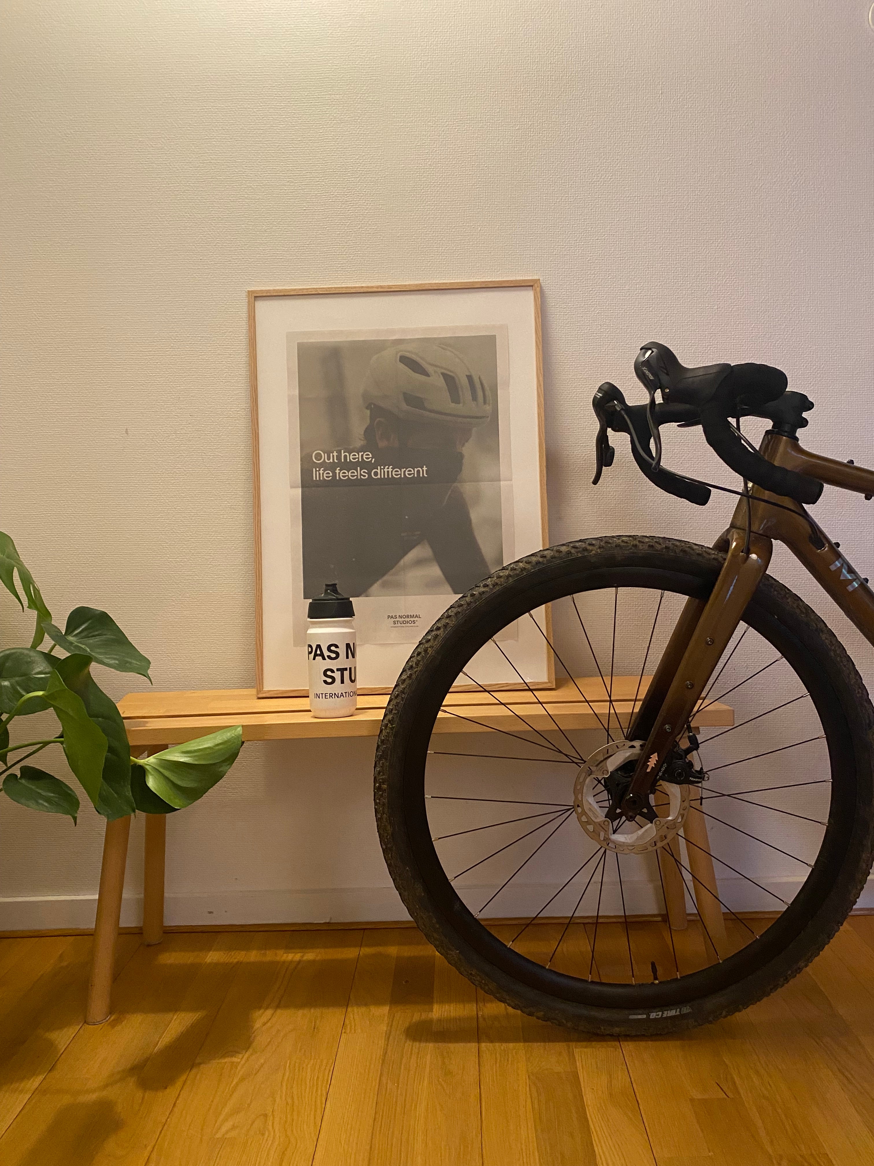 marin headlands gravelbike danmark life on two wheels