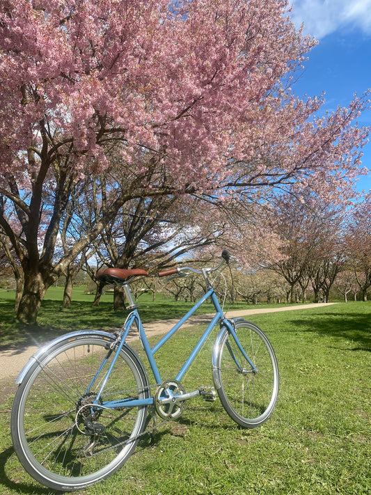 Bisou Blue Grey 50cm (M)