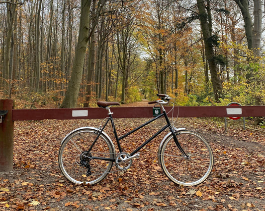 tokyobike Bisou Willow 55 cm (L) DEMO