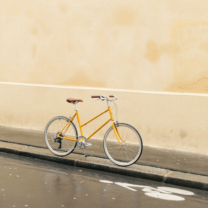Bisou Saffron - 55cm (L)