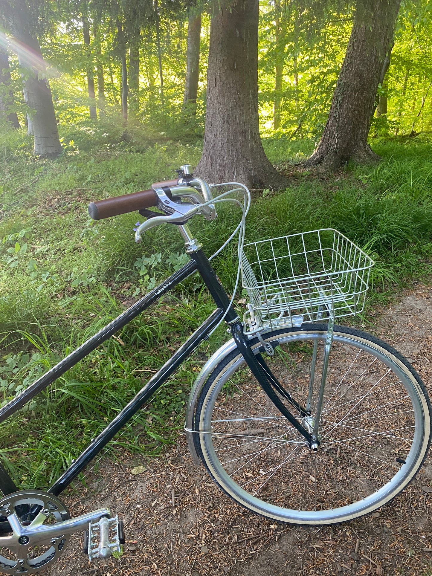 Bisou Willow 55 cm (L)