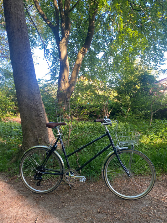 Bisou Willow 55 cm (L)