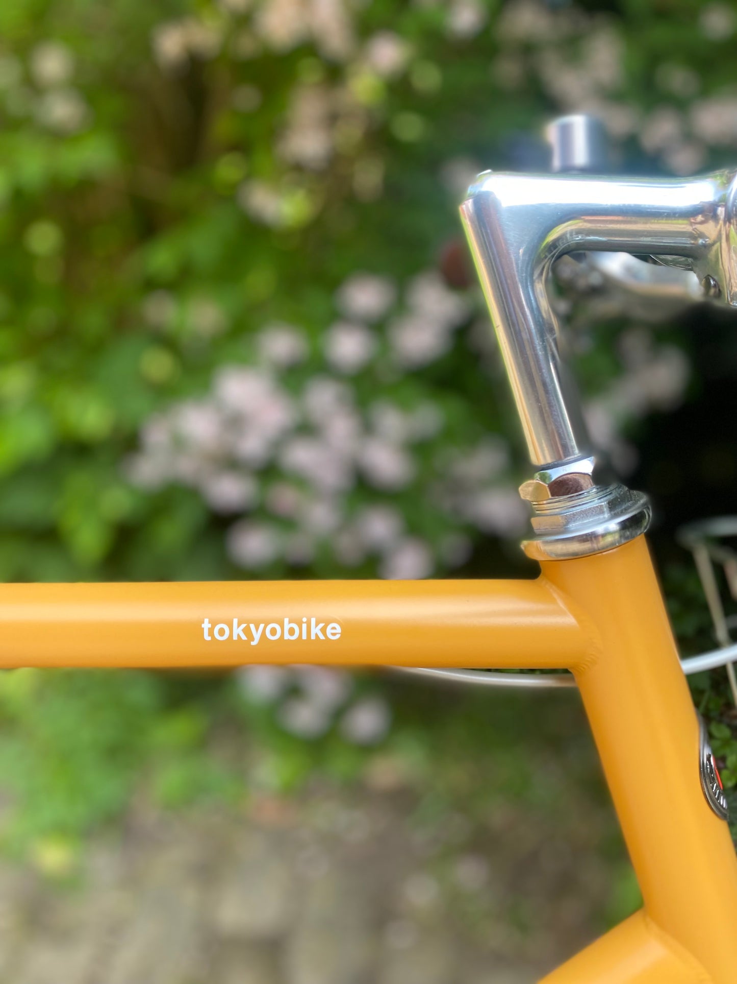 tokyobike CS26 Mustard 57 cm (M) DEMO