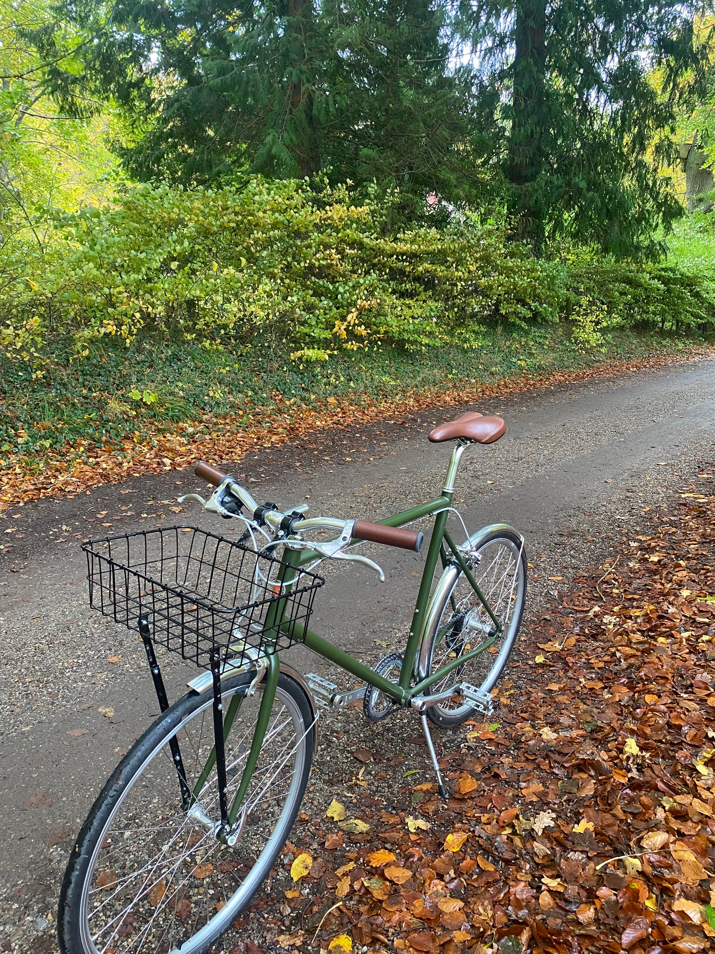 tokyobike CS26 Moss Green 57 cm (M) DEMO